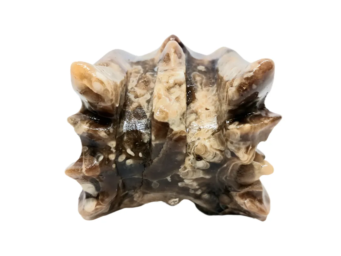 395G Amber Flower Agate Crystal Dragon Head