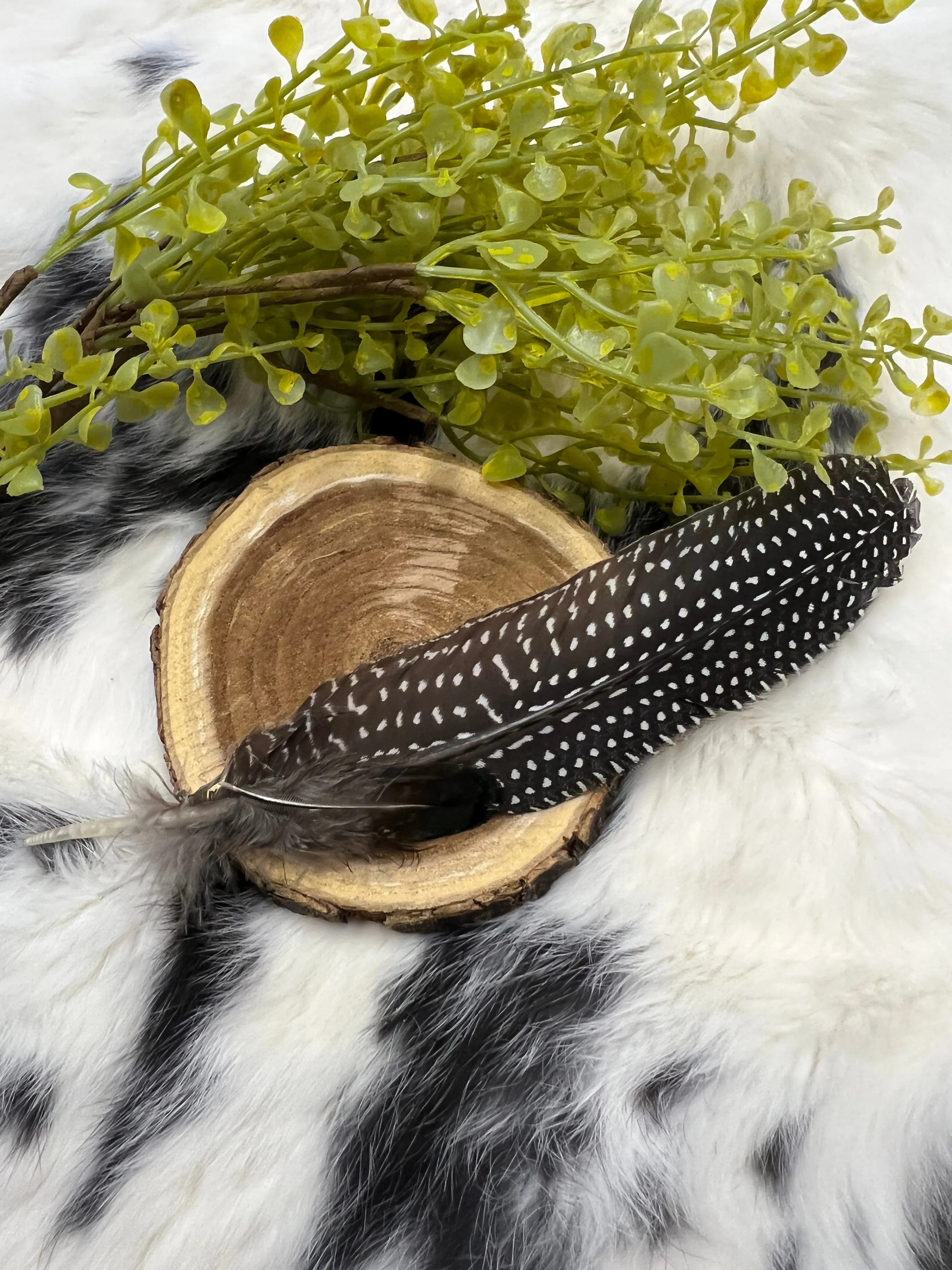 The Marcela Hat Feathers Pins